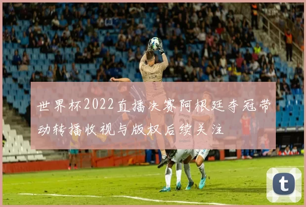世界杯2022直播决赛阿根廷夺冠带动转播收视与版权后续关注