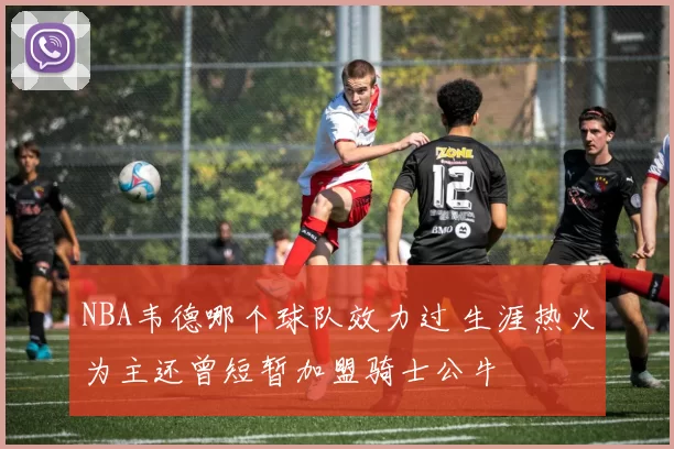 NBA韦德哪个球队效力过 生涯热火为主还曾短暂加盟骑士公牛
