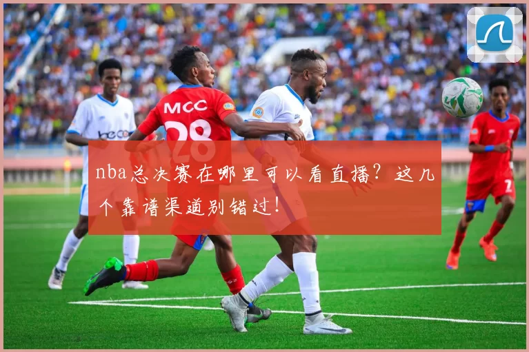 nba总决赛在哪里可以看直播?这几个靠谱渠道别错过!